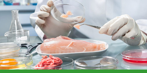 Consulenze Lavoro e Sicurezza